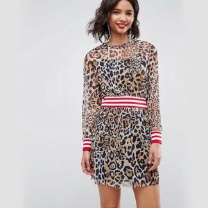NWT 🐆 ASOS Leopard Mesh Skater Dress w/Stripe